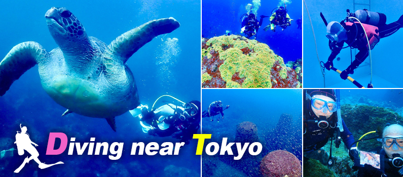 Diving near Tokyo