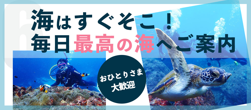 海はすぐそこ！ 毎日最高の海へご案内 おひとりさま大歓迎