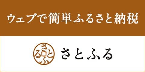 ふるさと納税でもらえる当店のダイビングメニュー（スクール/ 体験/ スノーケリング）