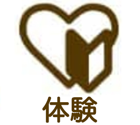 体験ダイビング